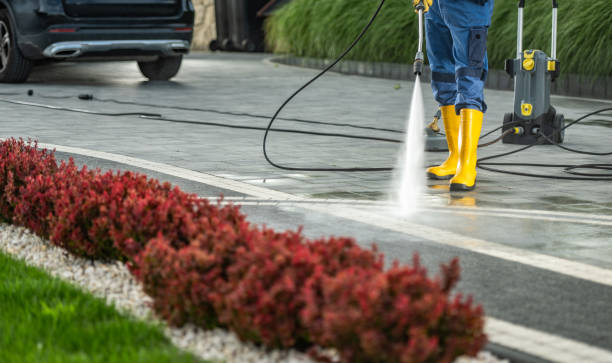 Best Roof Power Washing Services  in South Vacherie, LA