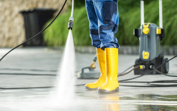 Best Pressure Washing Near Me  in South Vacherie, LA