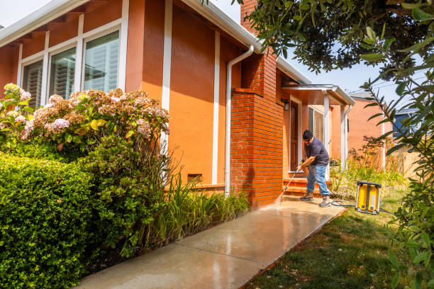 Professional Pressure Washing in South Vacherie, LA