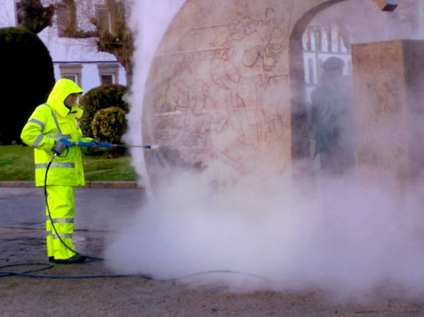 Best Pressure Washing Near Me  in South Vacherie, LA