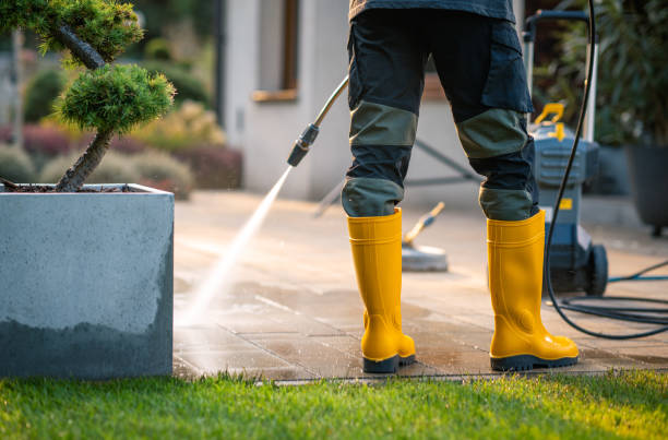 Best Deck Cleaning Services  in South Vacherie, LA